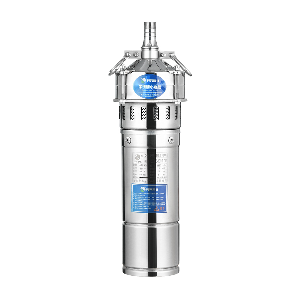 Stainless steel multistage pump