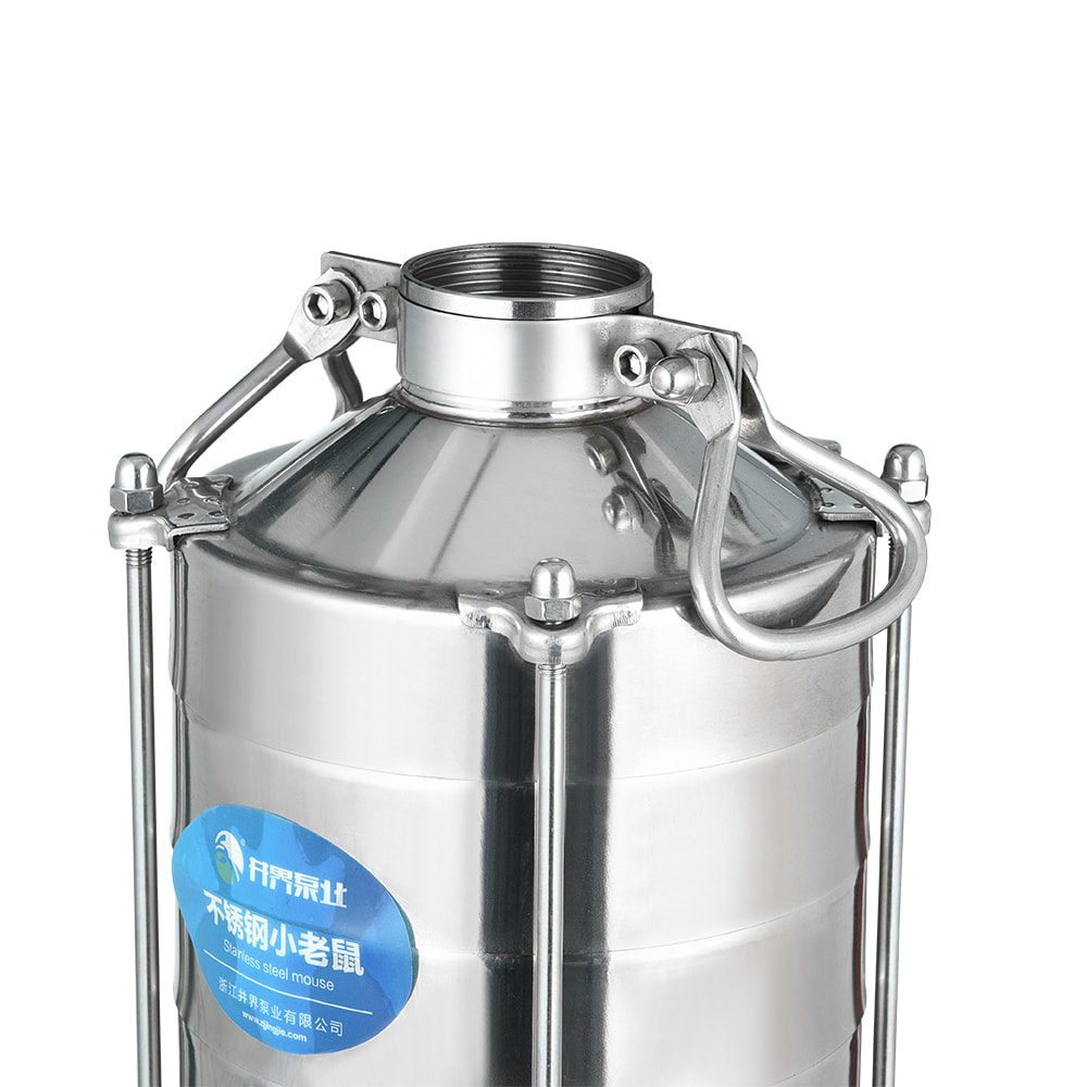 Stainless steel multistage pump
